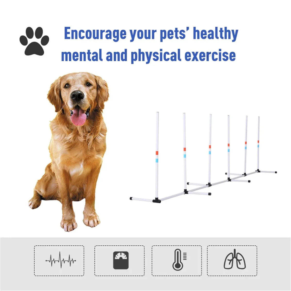 Dog Outdoor Exercise Training Set with 6 Poles and Storage Bag for Agility Training