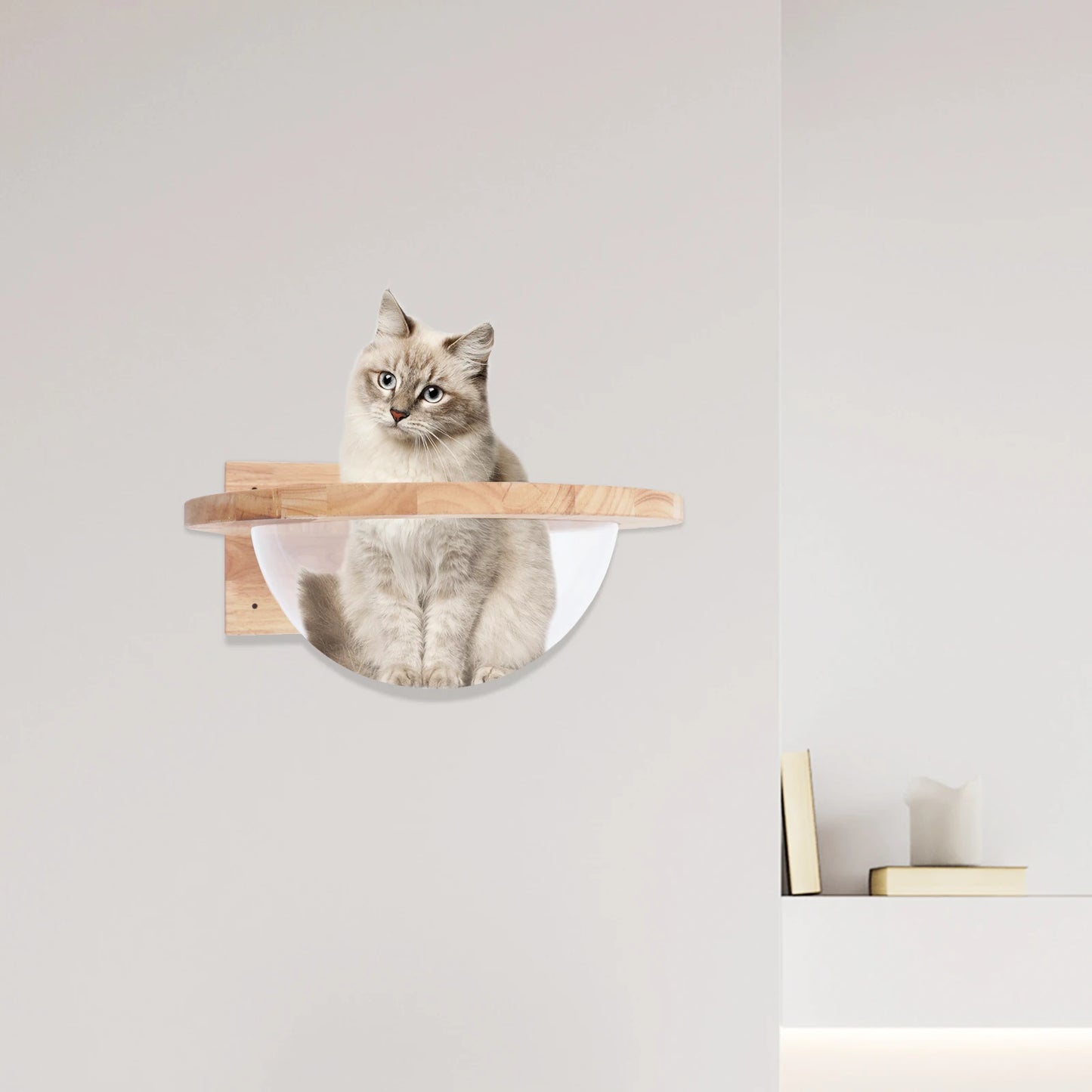 Cat Space Capsule Transparent Cover Cat Bed for Small Pets Durable Cat Toy and Furniture