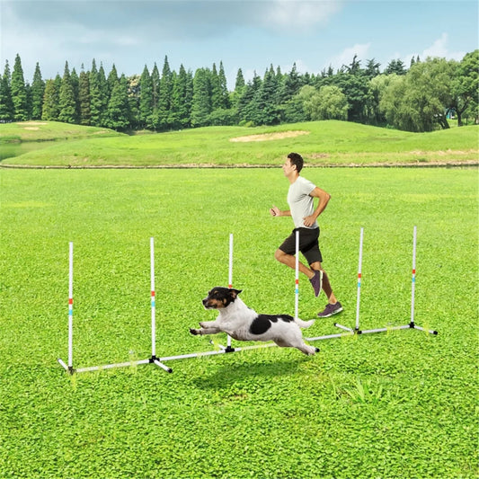 Dog Outdoor Exercise Training Set with 6 Poles and Storage Bag for Agility Training