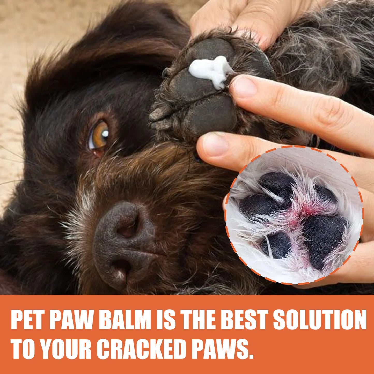 Cat and Dog Paw Balm,Paw Moisturizer for Dogs,Cat and Dog Nose Balm,Soother for Dry Cracked Paws & Noses,Puppy Essential,Paw wax
