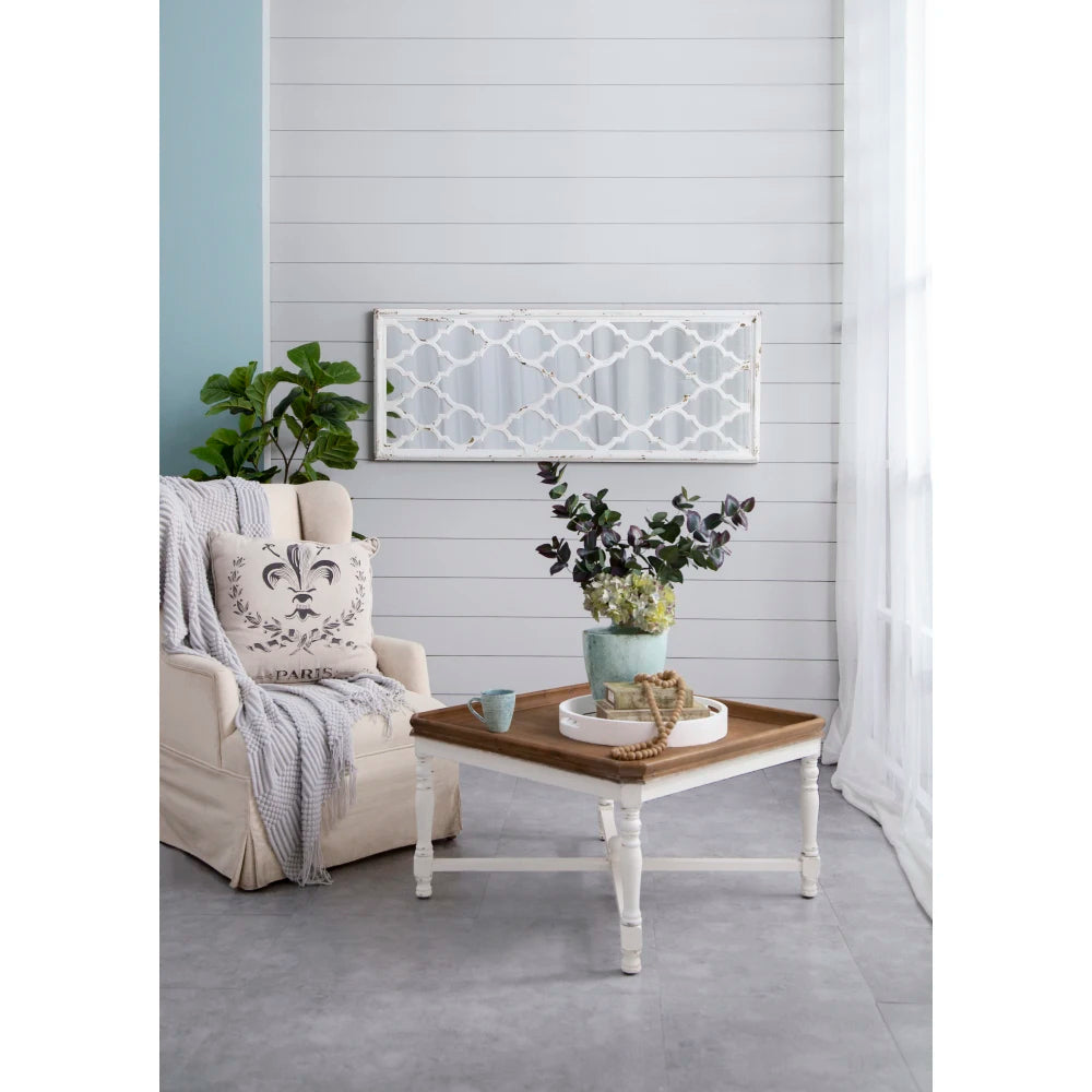 24 Inch X 60 Inch Distressed White Full Body Floor Mirror for Bathroom Bedroom Living Room