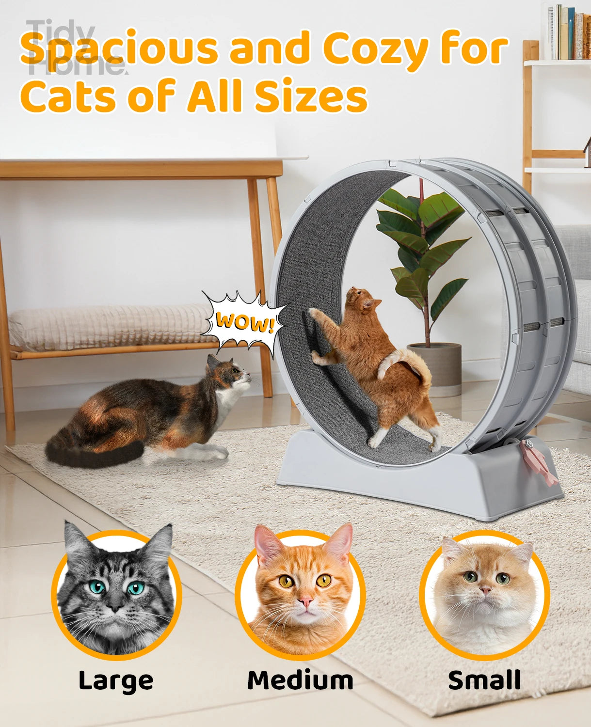Cat Exercise Wheel, 31 inch Cat Wheels for Indoor Cats,Plastic Cat Running Wheel for Cats Daily Exercise and Weight Loss, Gray