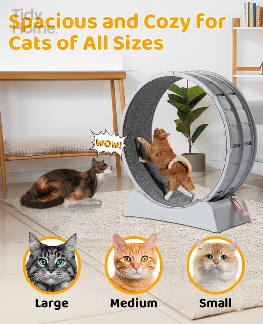 Cat Exercise Wheel, 31 inch Cat Wheels for Indoor Cats,Plastic Cat Running Wheel for Cats Daily Exercise and Weight Loss, Gray