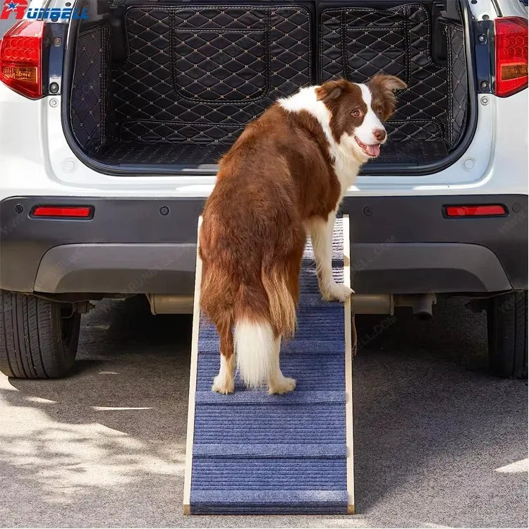 Folding Dog Ramp Four To Five Heights With Non Slip Carpet