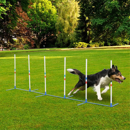 Dog Outdoor Exercise Training Set with 6 Poles and Storage Bag for Agility Training
