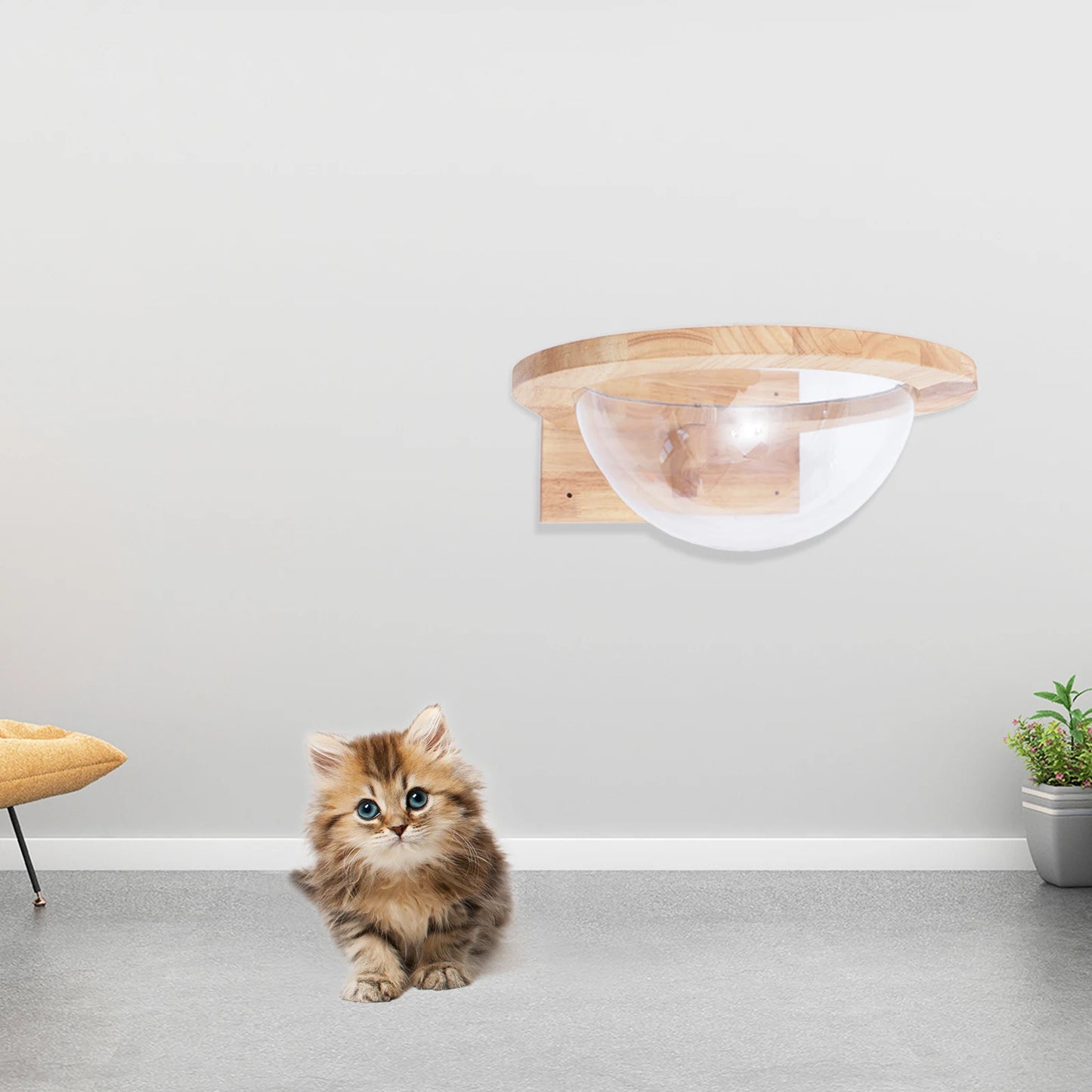 Cat Space Capsule Transparent Cover Cat Bed for Small Pets Durable Cat Toy and Furniture