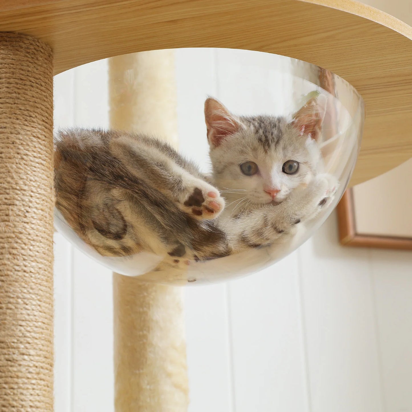 Multi Level Cat Tree with Sisal Scratching Posts Large Top Perch Cat Condo Indoor Wooden Cat Tower Cat Scratcher Cat Toys