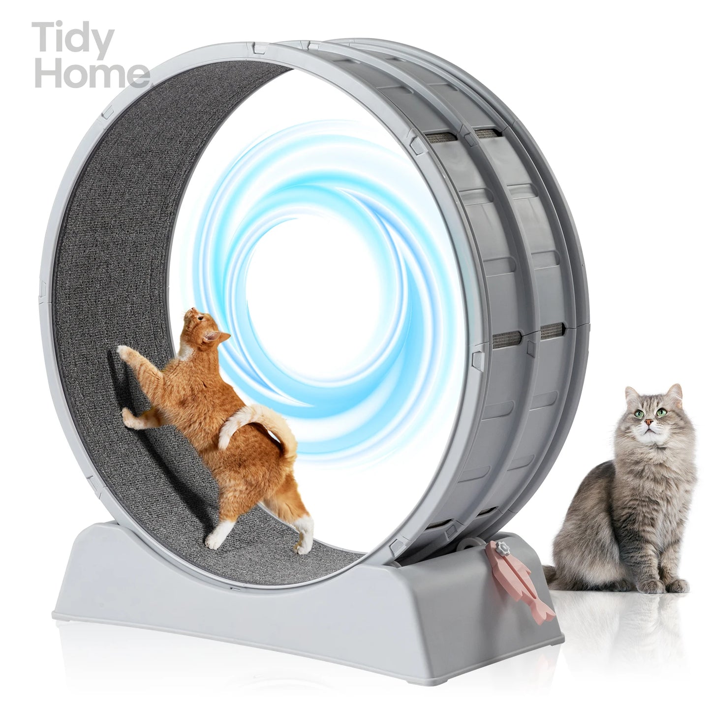 Cat Exercise Wheel, 31 inch Cat Wheels for Indoor Cats,Plastic Cat Running Wheel for Cats Daily Exercise and Weight Loss, Gray