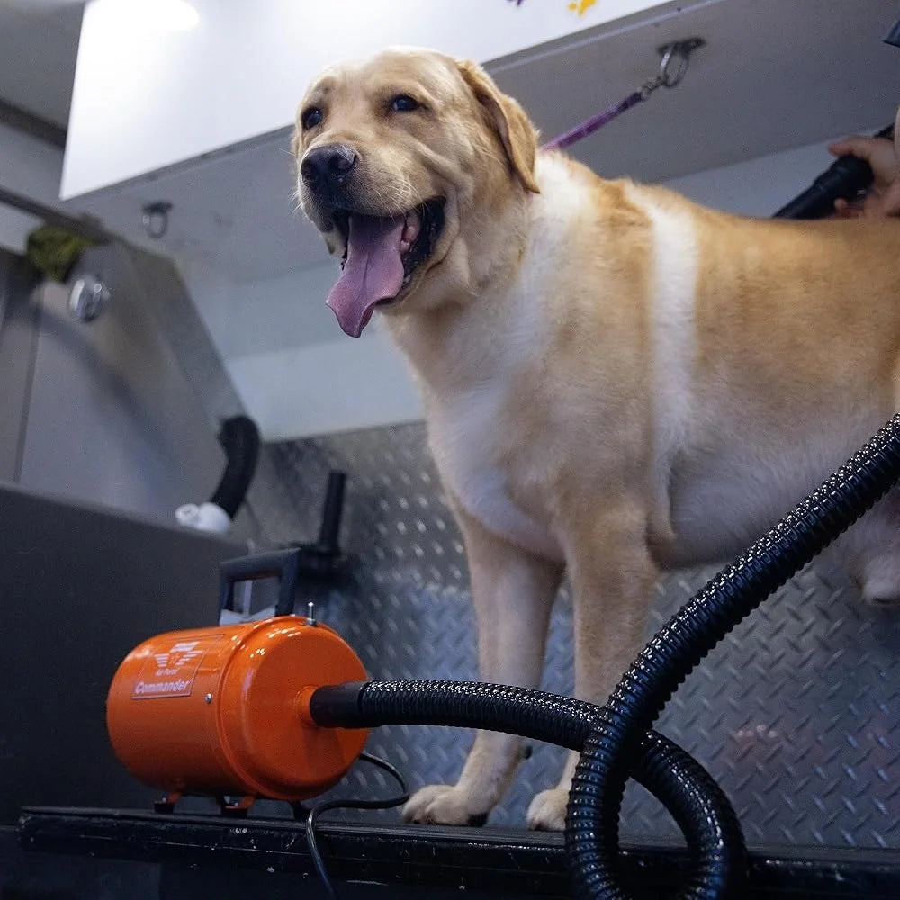 4.0HP Air Force Pet Dryer Two Speed Grooming Blower Portable Steel Design Multi Purpose Dog and Car Dust Cleaning