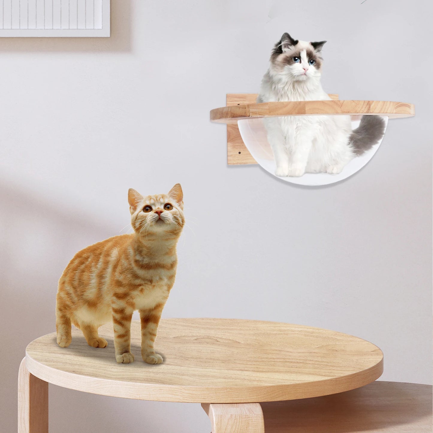 Cat Space Capsule Transparent Cover Cat Bed for Small Pets Durable Cat Toy and Furniture