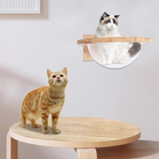 Cat Space Capsule Transparent Cover Cat Bed for Small Pets Durable Cat Toy and Furniture