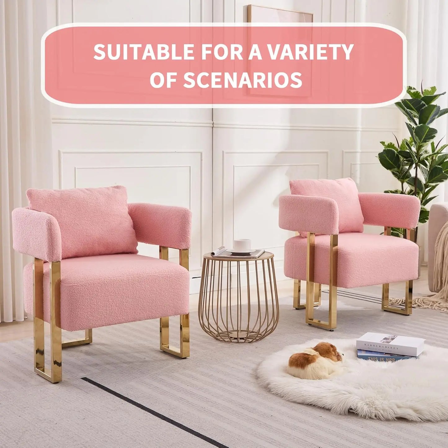 Set of 2 Pink Teddy Velvet Side Sofa with Gold Legs Tufted Plush Upholstered Reading Armchair with Lumbar Pillow Living Room Furniture