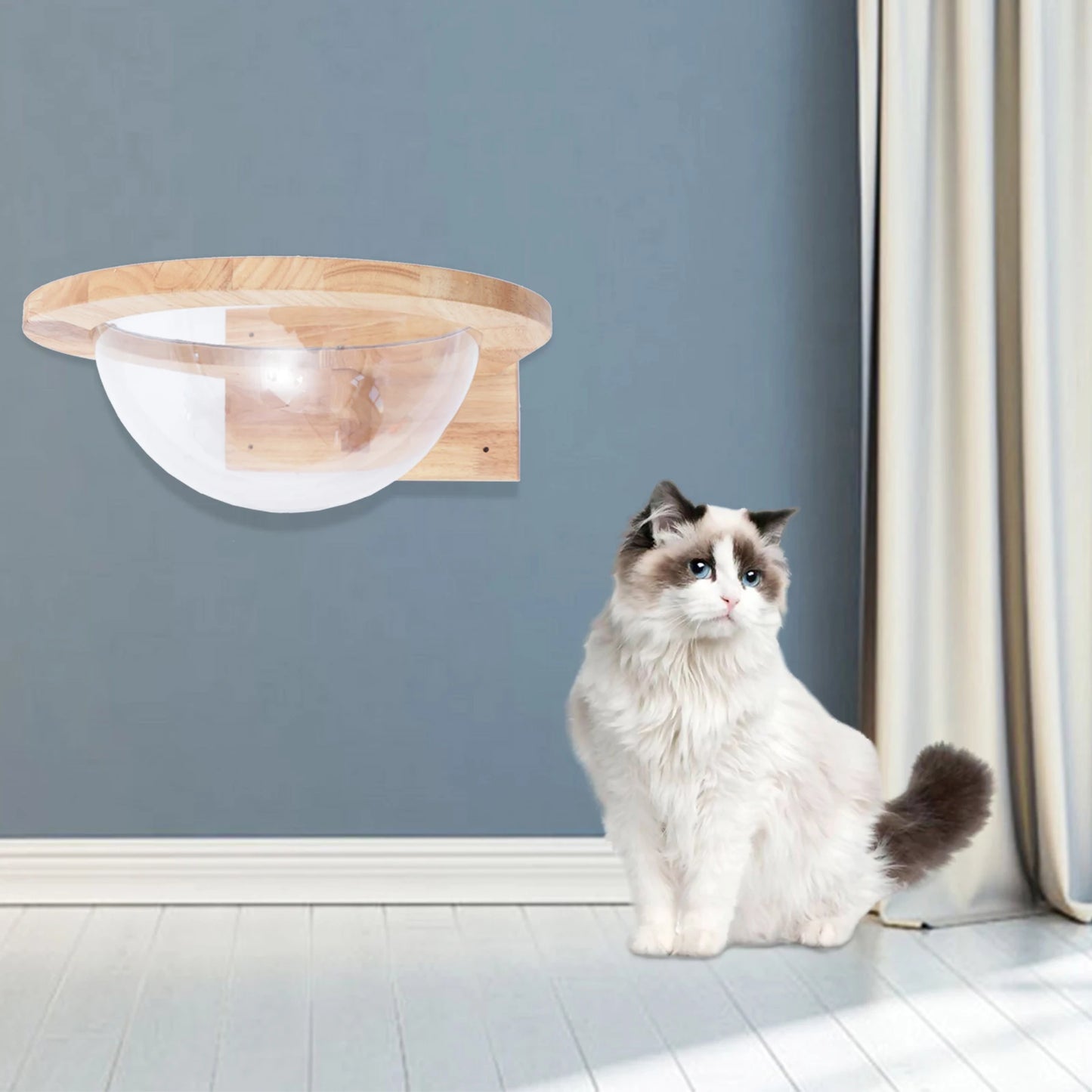 Cat Space Capsule Transparent Cover Cat Bed for Small Pets Durable Cat Toy and Furniture