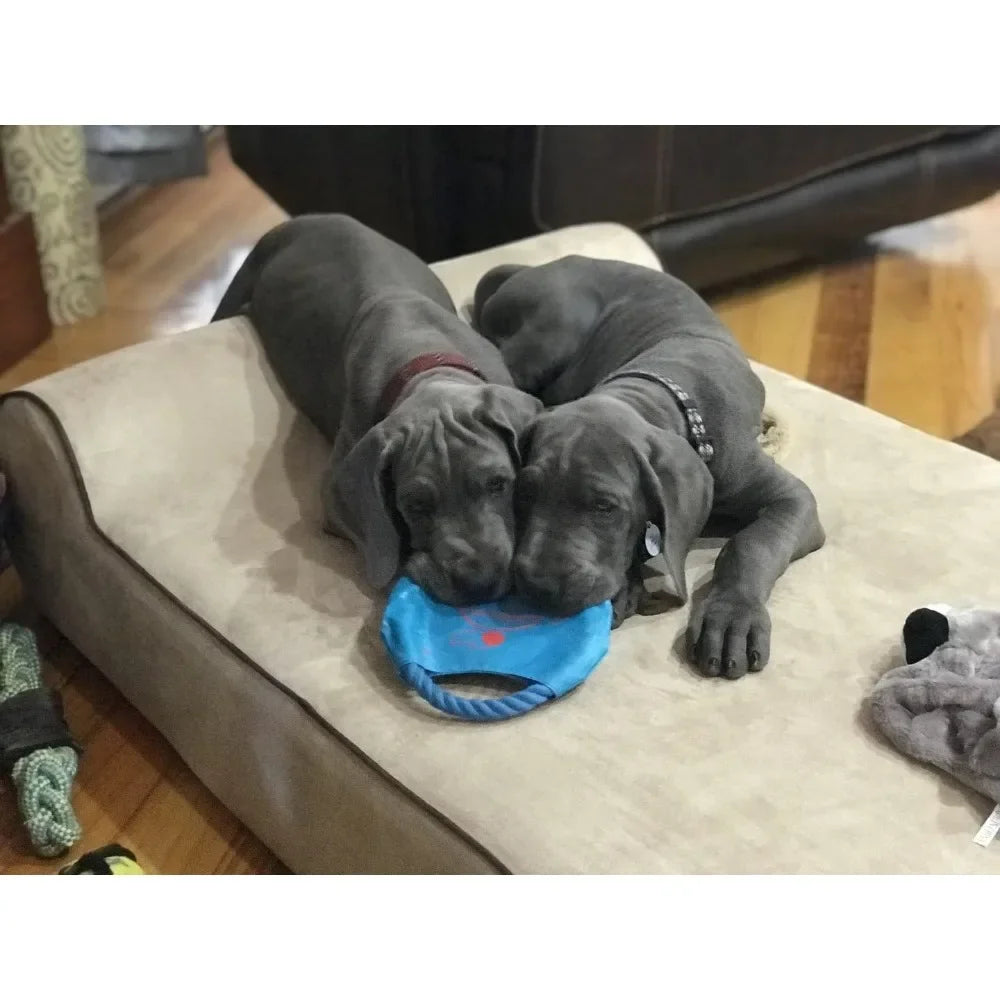 Orthopedic Dog Bed Memory Foam Dog Bed for Arthritic and Elderly Dogs Machine Washable Dog Bed with Waterproof Liner Large