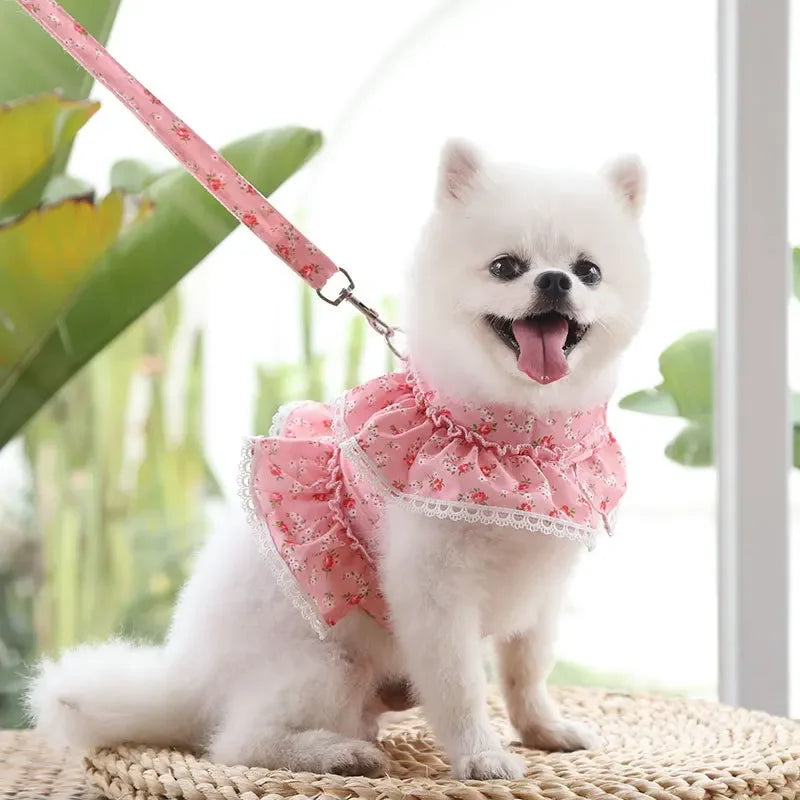 Adjustable Lace Floral Dog Cat Harness Leash Set Mesh Vest
