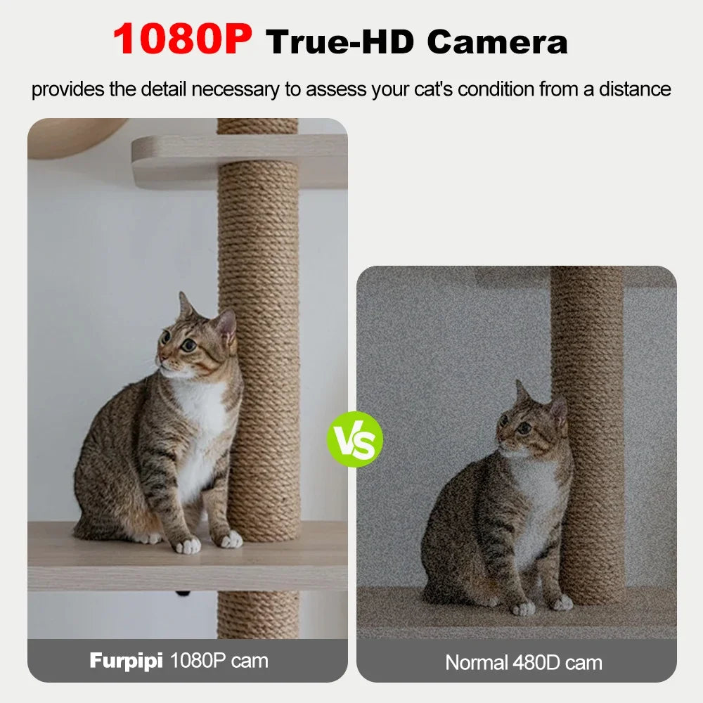 Automatic Dog Feeders with Camera 1080P HD 5G WiFi Pet Feeder Tuya App Control Automatic Cat Dog Food Dispenser Furpipi