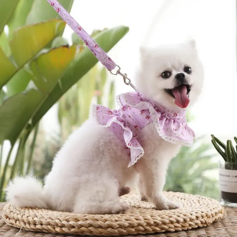 Adjustable Lace Floral Dog Cat Harness Leash Set Mesh Vest