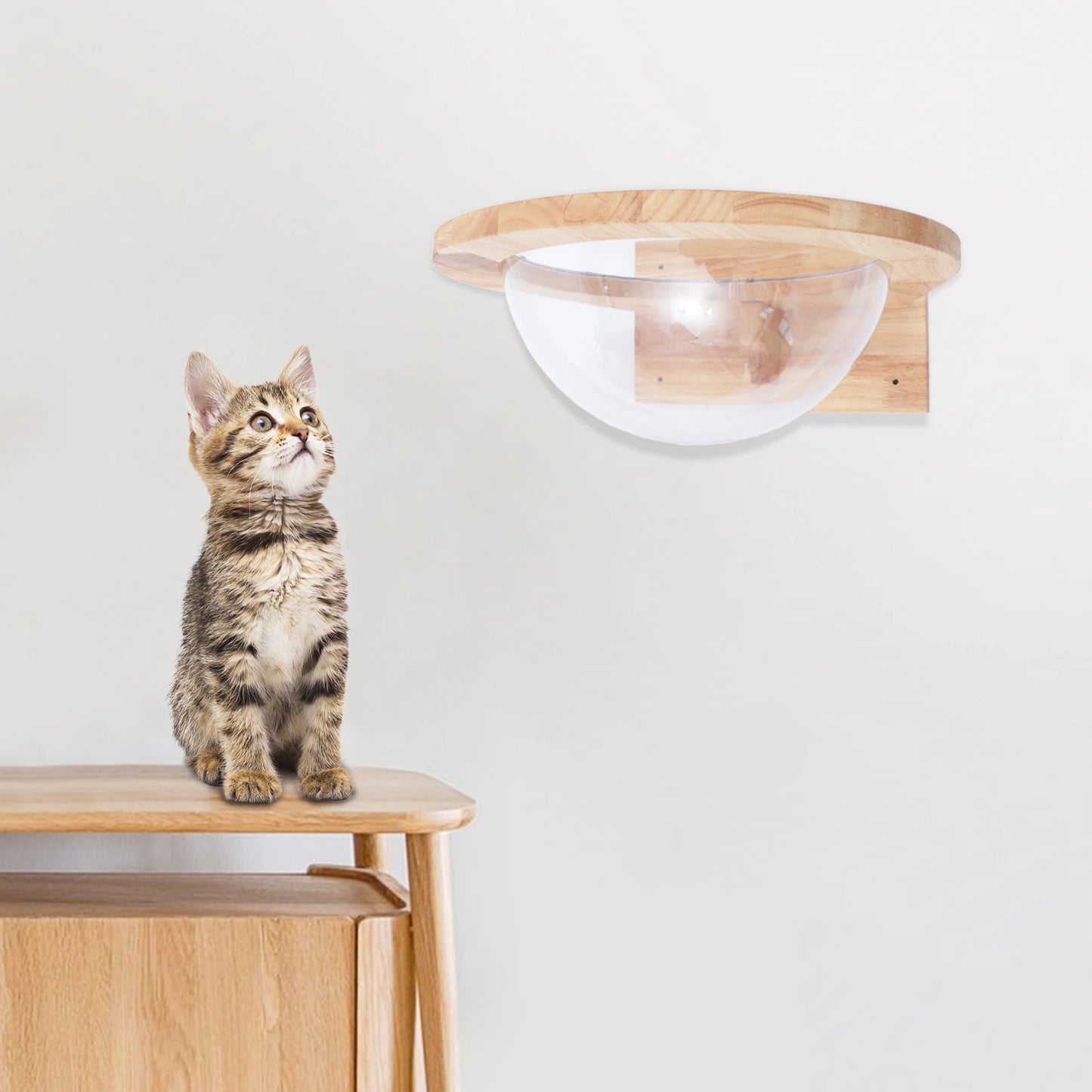 Cat Space Capsule Transparent Cover Cat Bed for Small Pets Durable Cat Toy and Furniture
