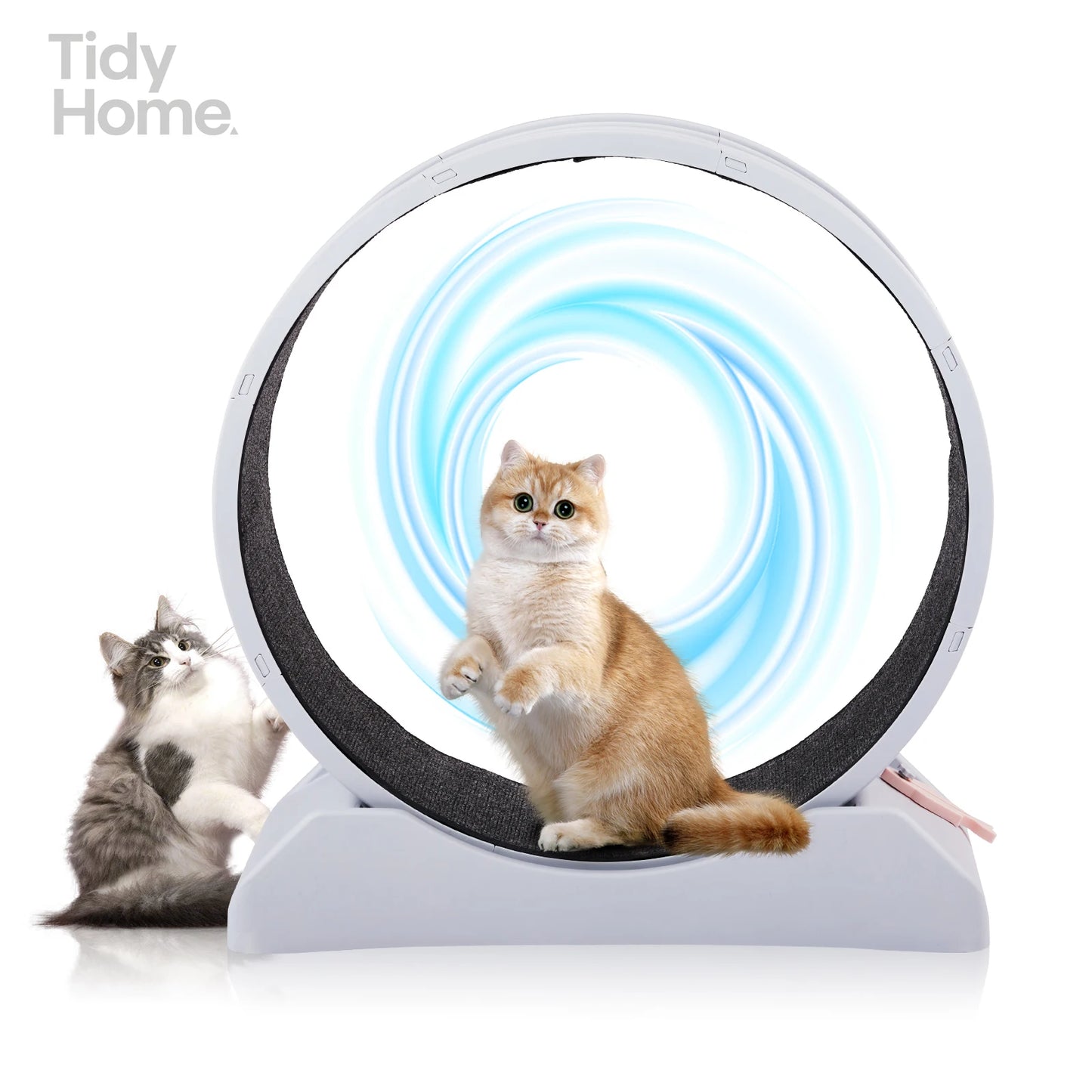 Cat Exercise Wheel, 31 inch Cat Wheels for Indoor Cats,Plastic Cat Running Wheel for Cats Daily Exercise and Weight Loss, Gray